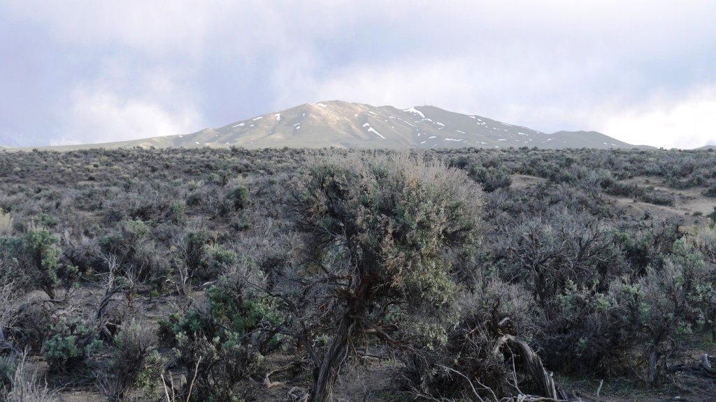 Humboldt River Ranches Elko Nevada